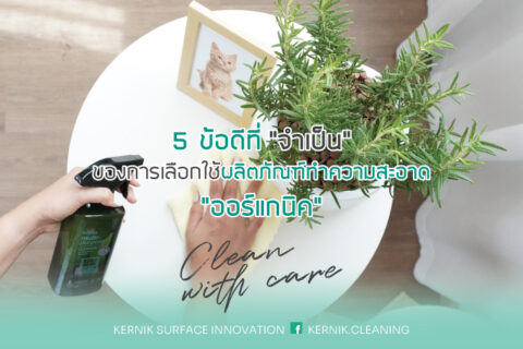 5 ข้อดีที่ “จำเป็น” ของการเลือกใช้ผลิตภัณฑ์ทำความสะอาด “ออร์แกนิค”