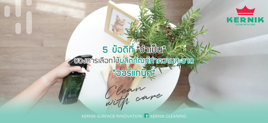 5 ข้อดีที่ “จำเป็น” ของการเลือกใช้ผลิตภัณฑ์ทำความสะอาด “ออร์แกนิค”