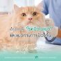 เช็กลิสต์อาการ “โรคนิ่วในแมว”  และแนวทางการป้องกัน